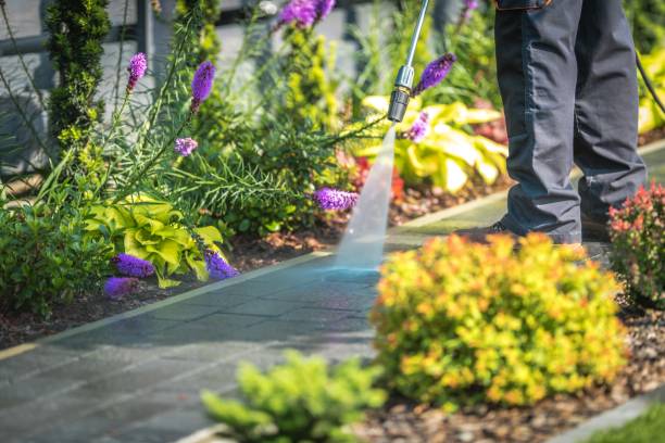 Reliable Clarkson Valley, MO Pressure Washing Services Solutions